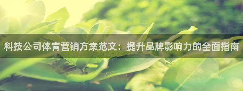 金年会jinnian体育下载app