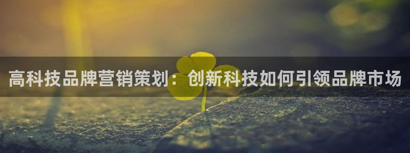 金年会app官方网站入口在哪