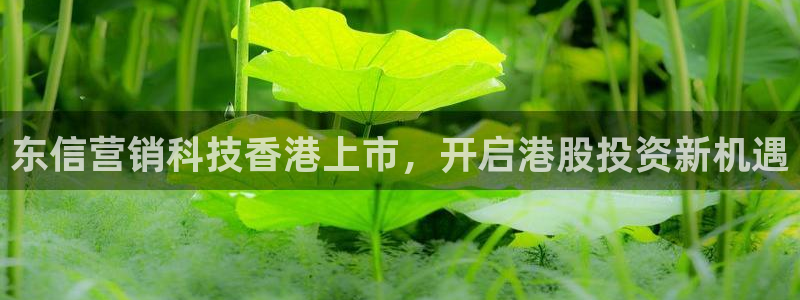金年会官方app下载官网