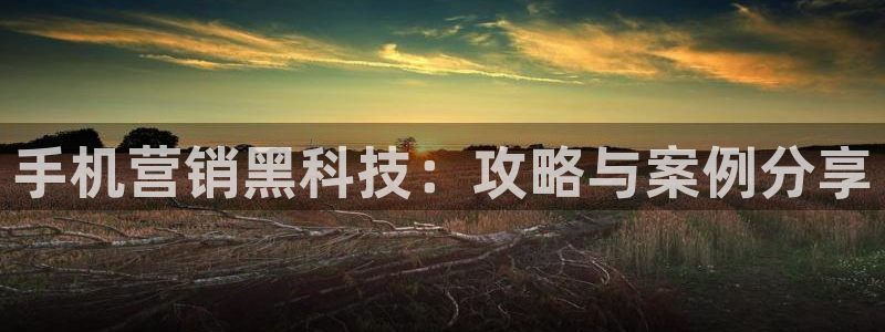 金年会网址导航在线播放
