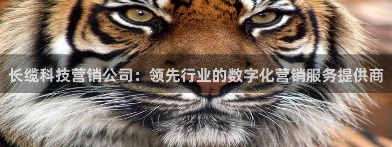 金年会赌博是诈骗吗