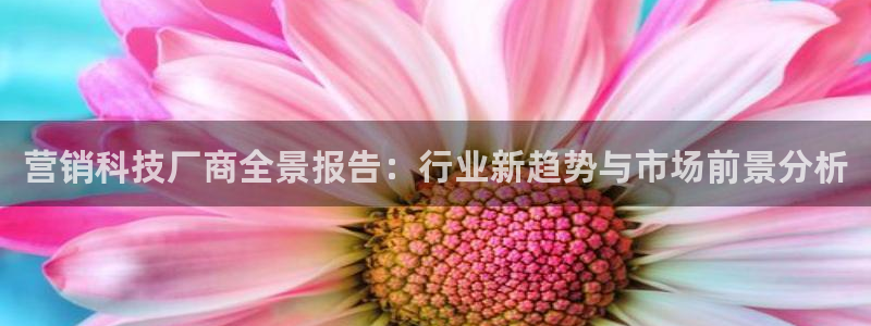 金年会体育app入口在哪