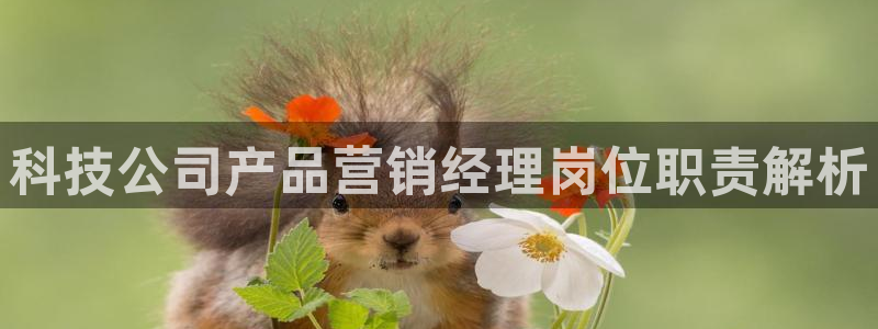 金年会app官方网站下载