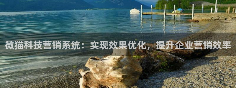 金年会体育网址登录