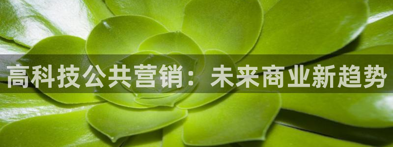 金年会体育黑