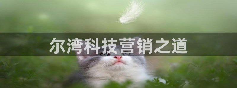 金年会体育怎么样