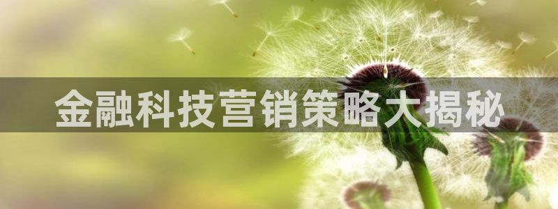 金年会网址