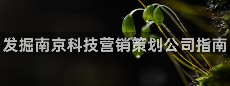 金年会jinnian体育下载app