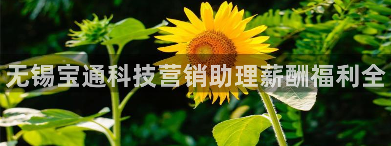 金年会电子app官方下载