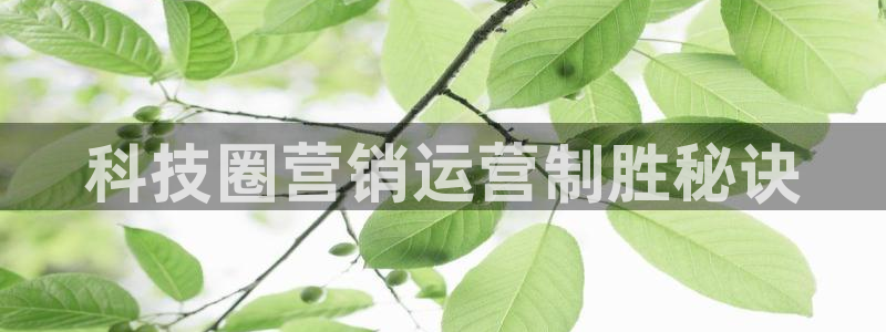 金年会官方网站入口登录