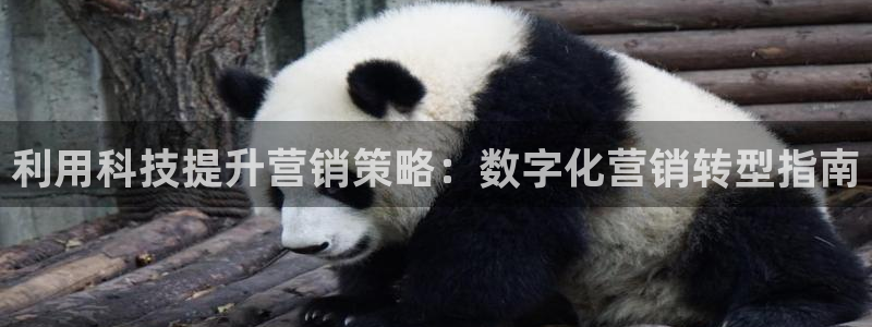 金年会com