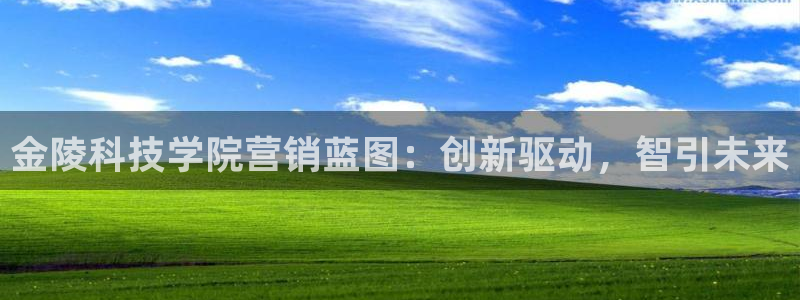 金年会体育app是干嘛的