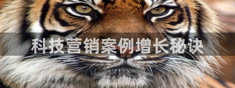 jinnianhui金年会下载