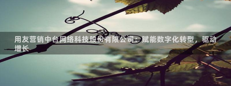 金年会官方入口2023