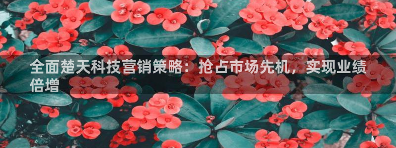 金年会官方登录网址