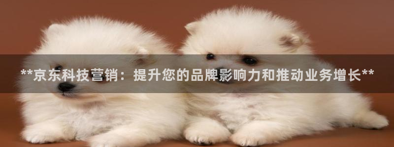 金年会平台官网登录