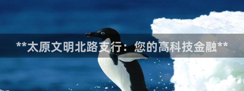 金年会 金字招牌诚信至上在线