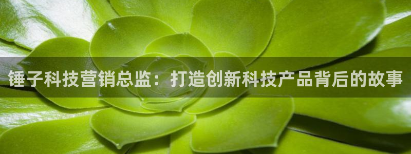 金年会体育app属于正规平台吗