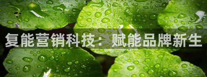金年会手机版·(中国)官方网站-app下载