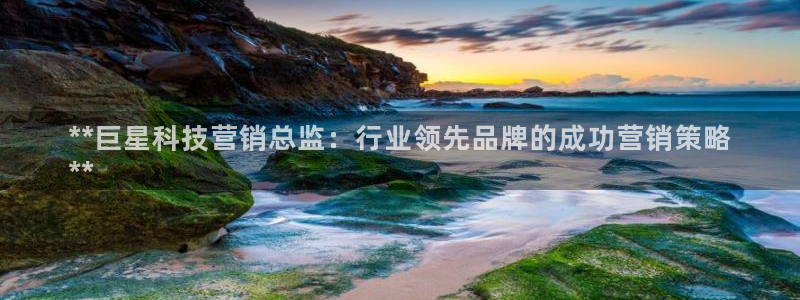 金年会官方体育登陆入口