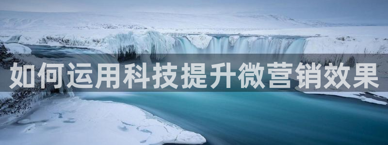 金年会体育合法吗