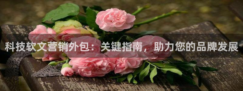 金年会体育买球app下载