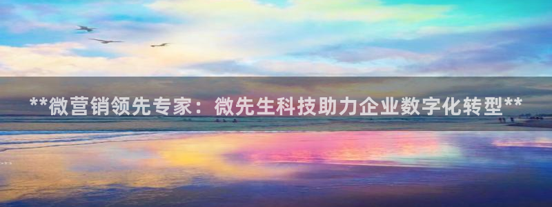 金年会网站平台怎么样