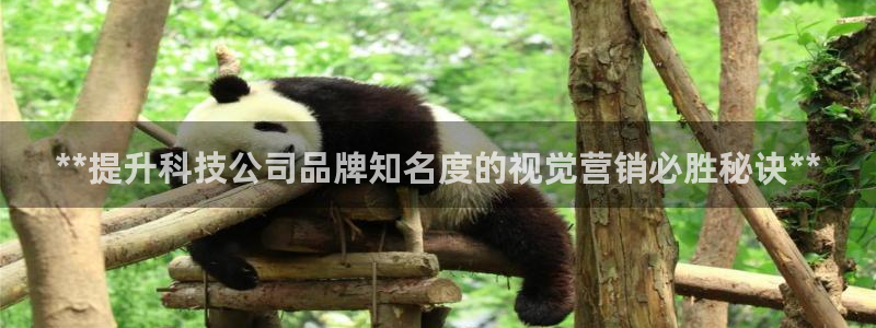 金年会官方网站入口app