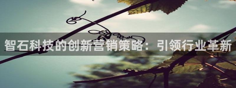 金年会是正规平台吗