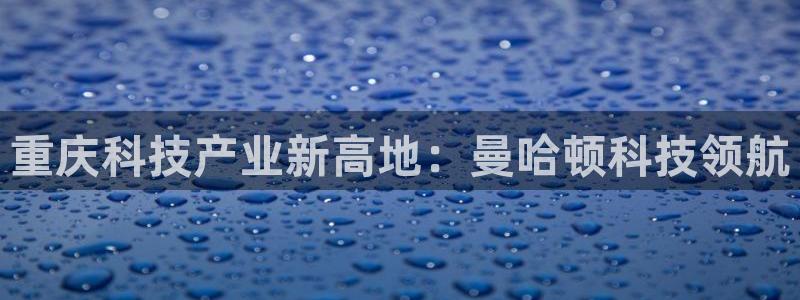 金年会体育app最新官网入口