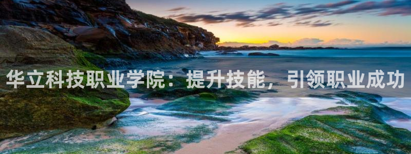 金年会网址