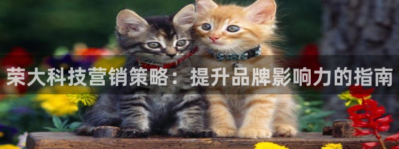 金年会网站洗黑钱