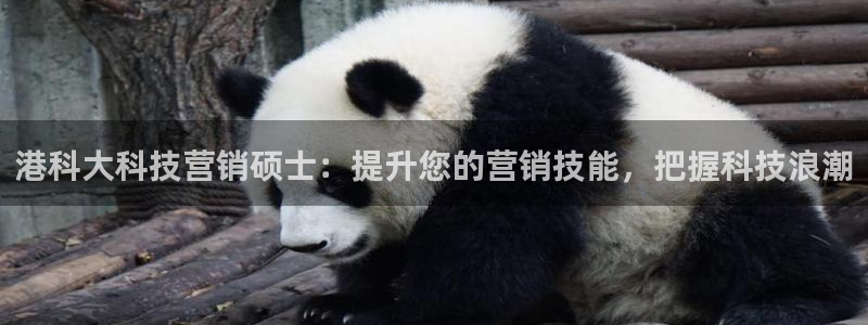 金年会
