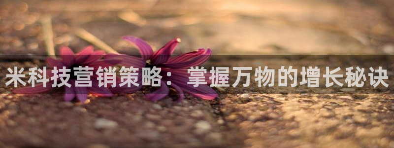 金年会体育app最新官网下载苹果