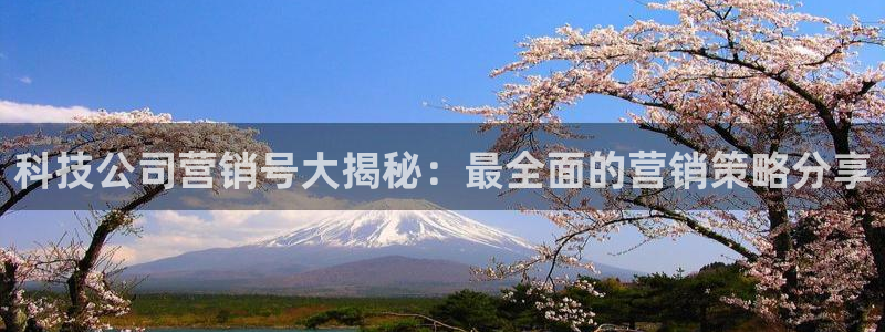 金年会网站拒绝出款说风控部门审核怎么办?