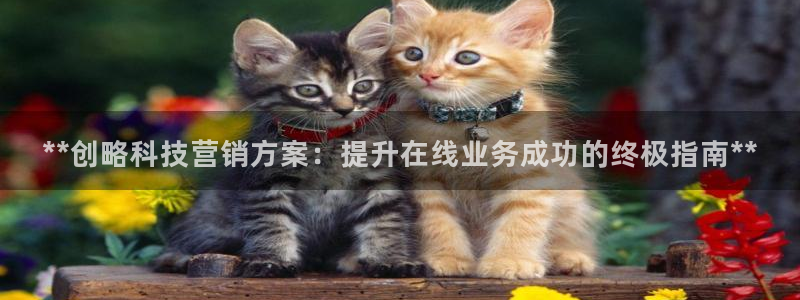 金年会APP官方网站