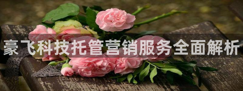 金年会体育app最新官网下载