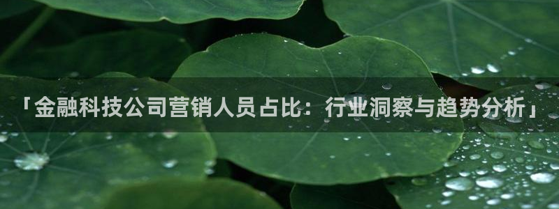 金年会体育官网是多少