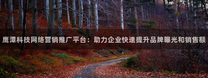 金年会网址导航下载安装