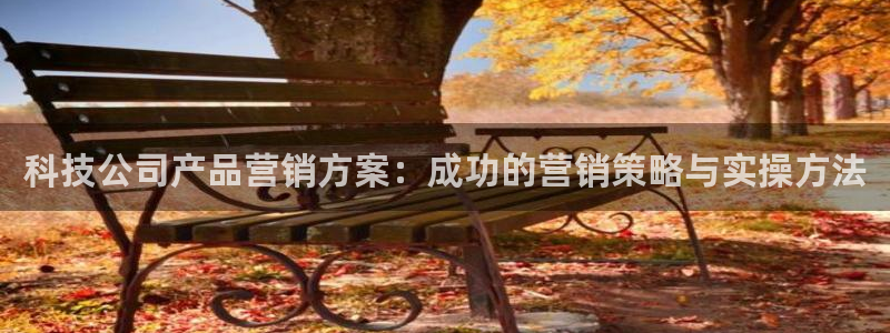 金年会体育黑钱吗
