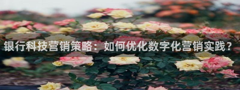 金年会网站不给提现怎么办?
