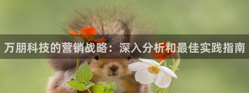 金年会诚信至上