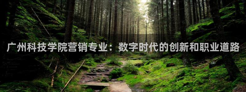金年会官方平台是什么