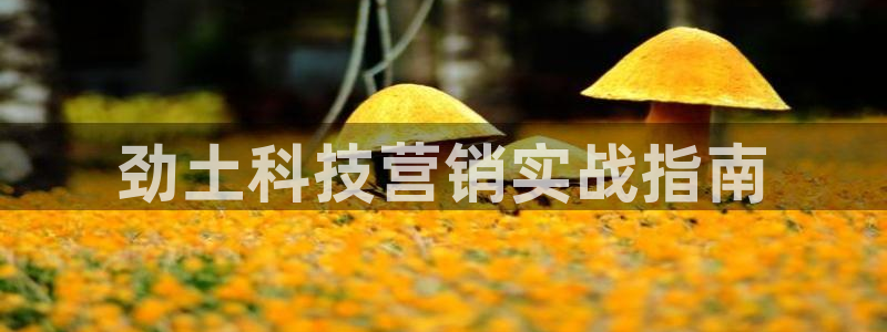 金年会vip打开网络异常怎么办