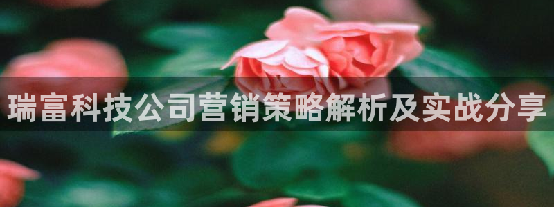 金年会体育官方入口