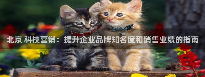金年会体育中心