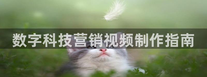 金年会体育出款被要求安全认证怎么办