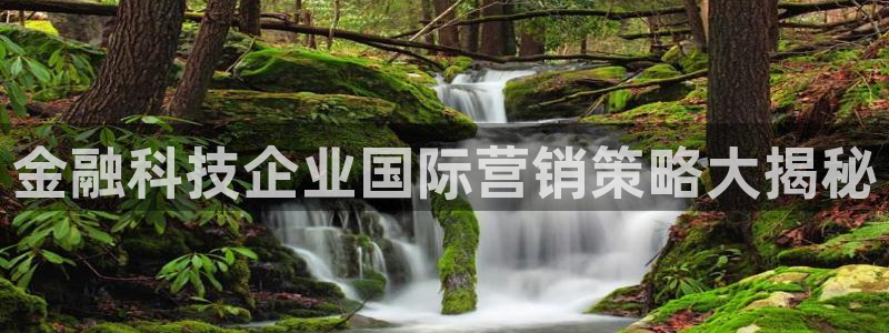 金年会体育官网入口