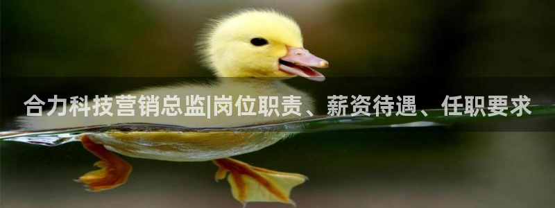 金年会电子