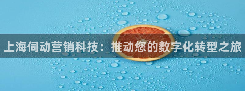 金年会体育平台官网下载
